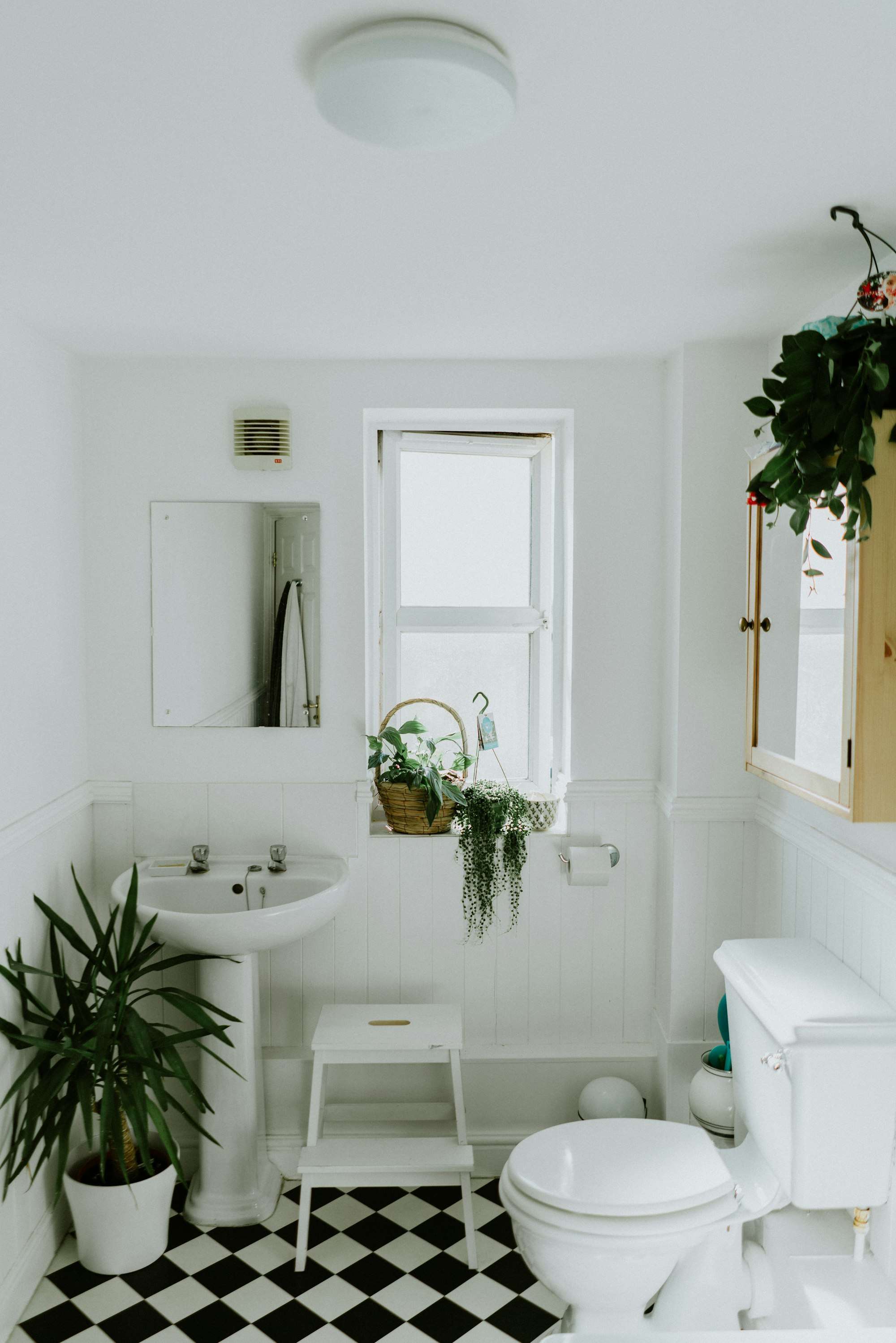 Salle d’eau blanche et lumineuse avec lavabo et plantes